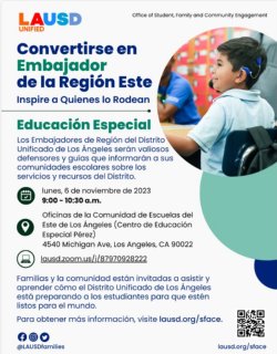 Region Ambassador flyer spanish